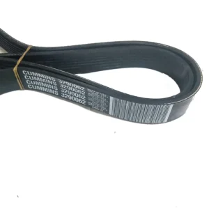 3290062 Cummins VRibbed Belt